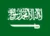 Saudi Logo